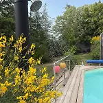 Cozy Jacuzzi Et Piscine En Haute Provence *